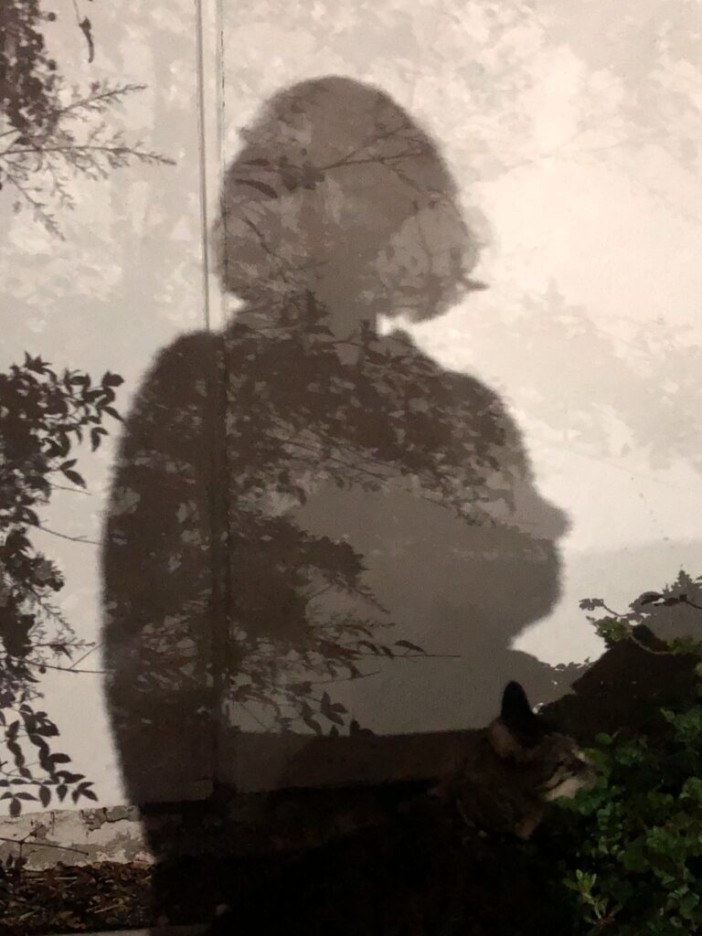 Photo of human and leaf shadows